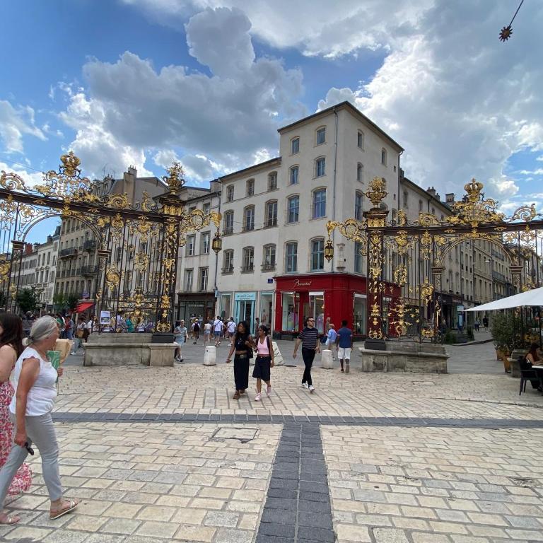 Escale nancéienne , Nancy centre , parking GRATUIT - Apartment mit 2 Schlafzimmern - 6