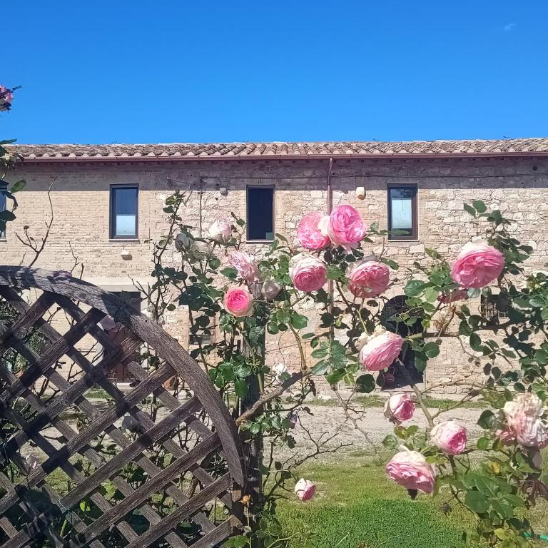 Casale Il Cantico della Tenerezza - Seven-Bedroom House - 1
