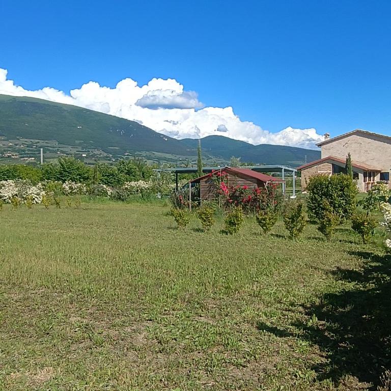 Casale Il Cantico della Tenerezza - Seven-Bedroom House - 3