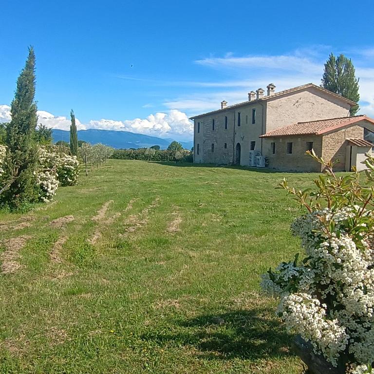 Casale Il Cantico della Tenerezza - Seven-Bedroom House - 20