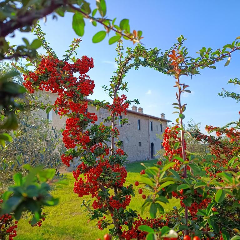 Casale Il Cantico della Tenerezza - Seven-Bedroom House - 22