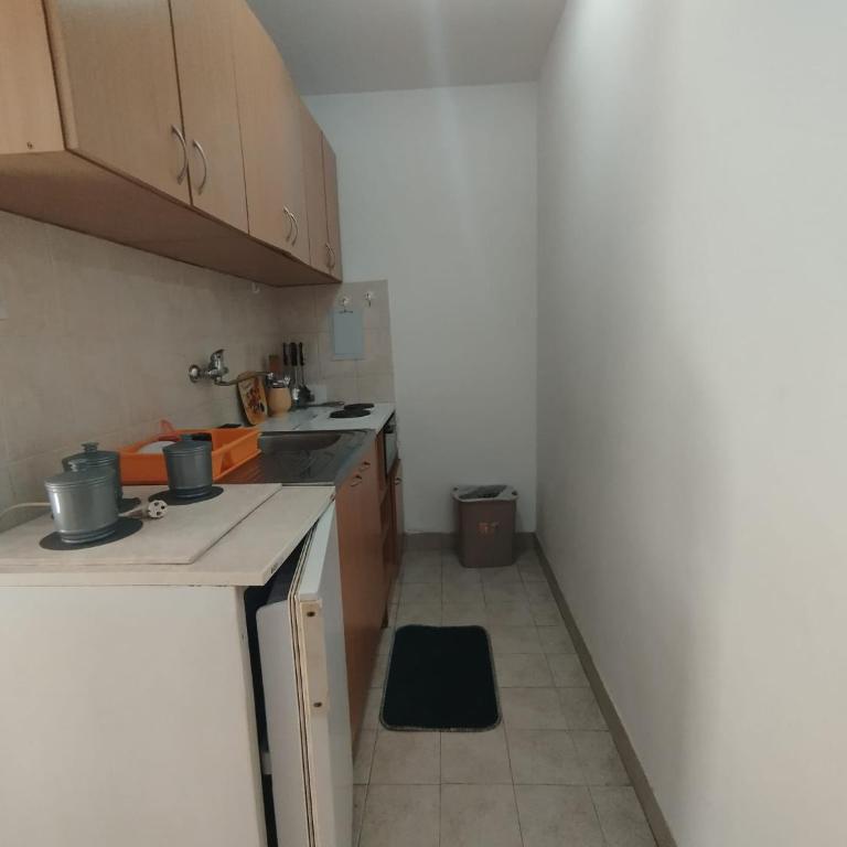 Apartman Arsić 2 - Apartman sa 2 Spavaće Sobe - 4