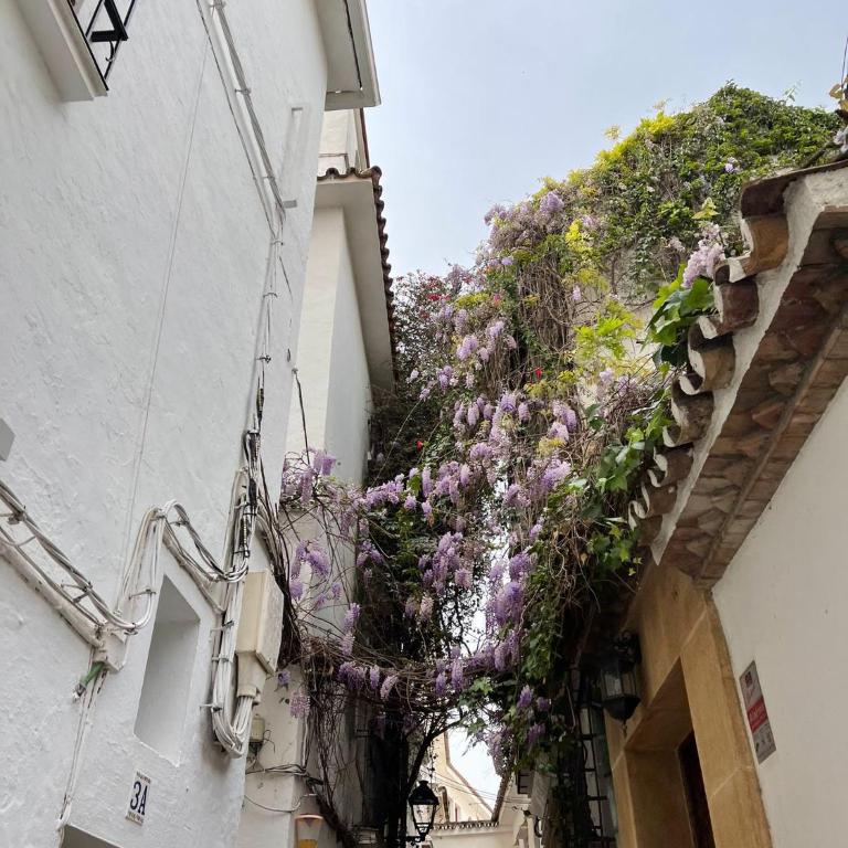 Marbella Center II - EaW Homes - Two-Bedroom Apartment - 20