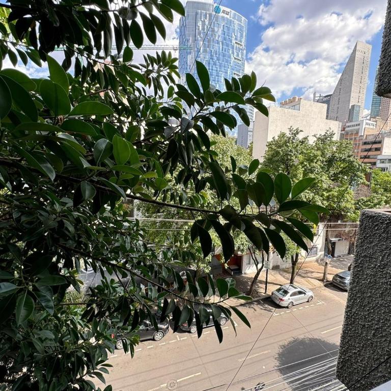 Elegante departamento cerca de Reforma y el Angel - Apartamento de 2 dormitorios - 46