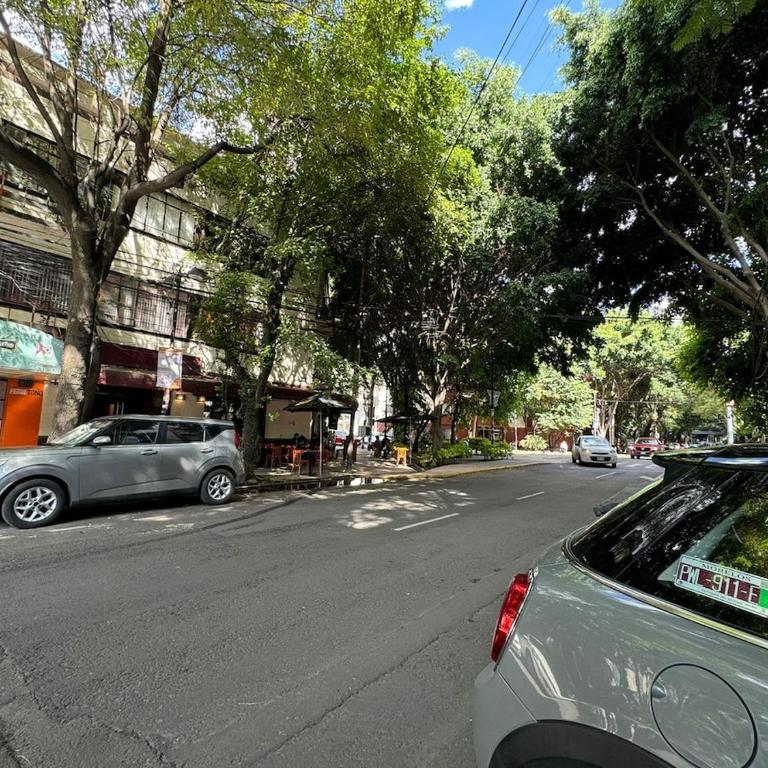 Elegante departamento cerca de Reforma y el Angel - Apartamento de 2 dormitorios - 55