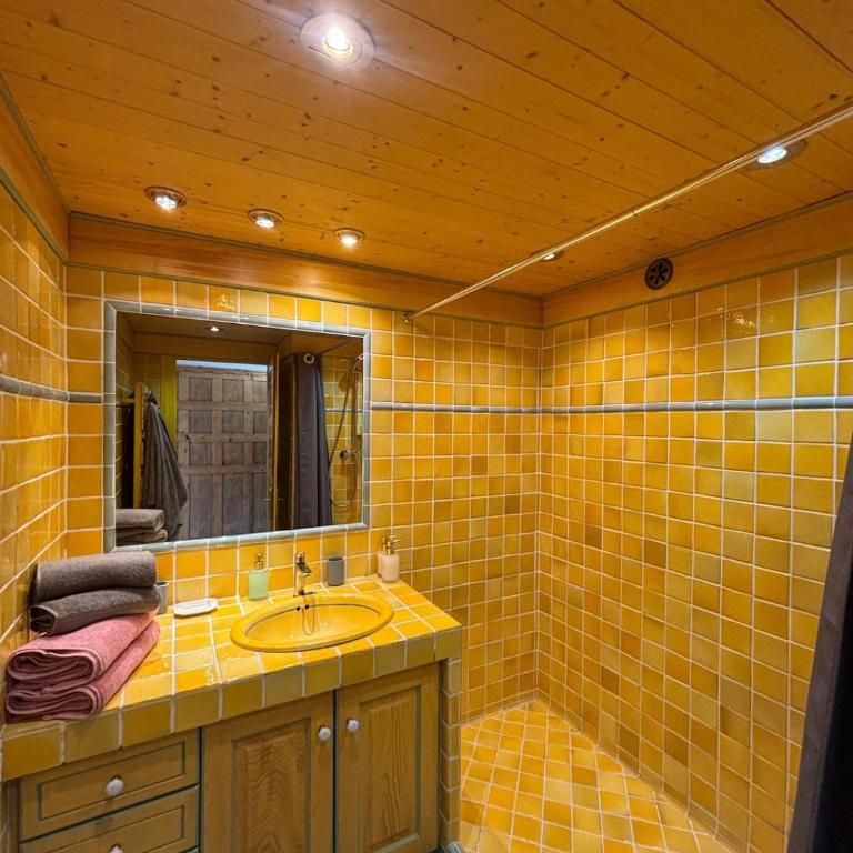 Megève 4 seasons apartment - Apartamento de 2 dormitorios - 15