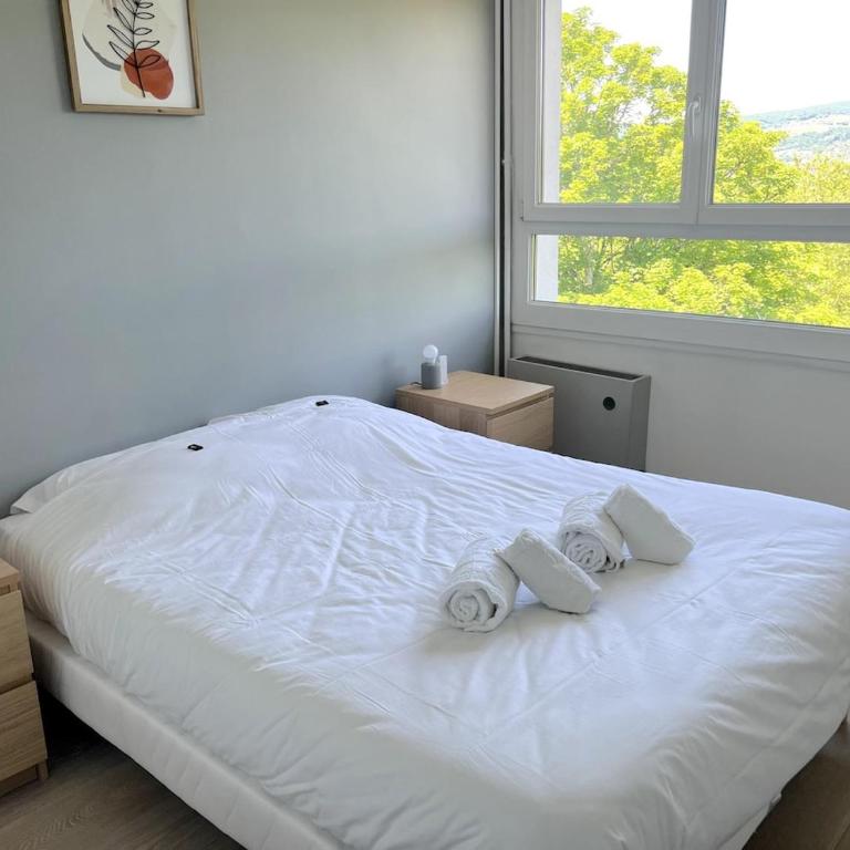 Annecy - Bright & renovated 3-room apartment - Apartment mit 3 Schlafzimmern - 11