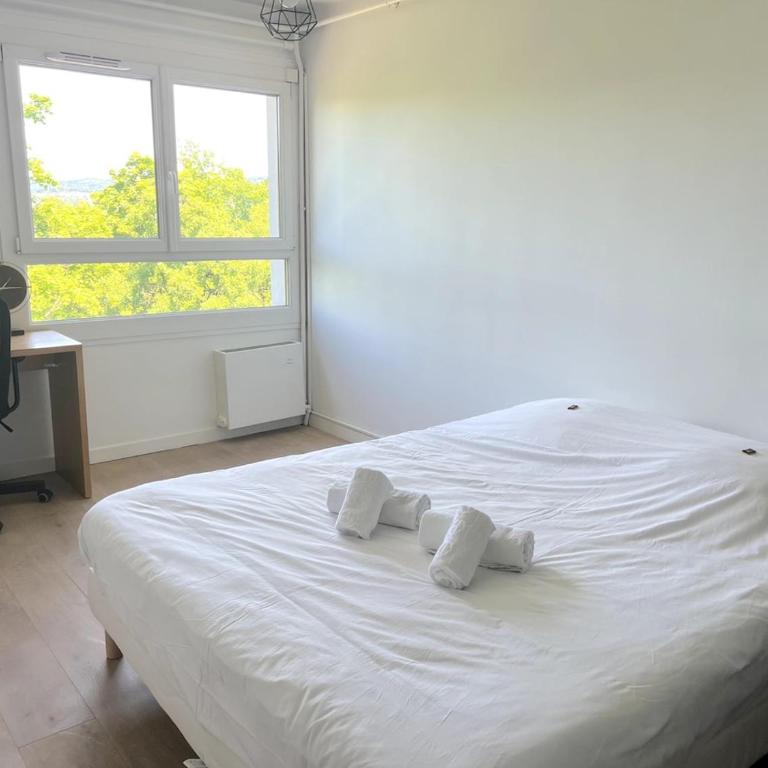 Annecy - Bright & renovated 3-room apartment - Apartment mit 3 Schlafzimmern - 15