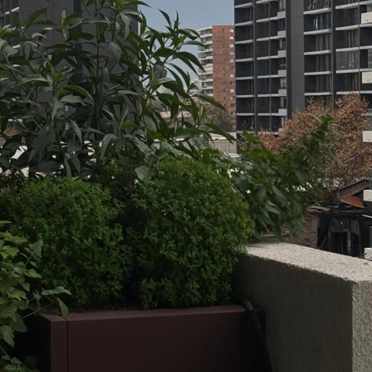 Apartamento en Santiago - Apartamento de 1 dormitorio - 14