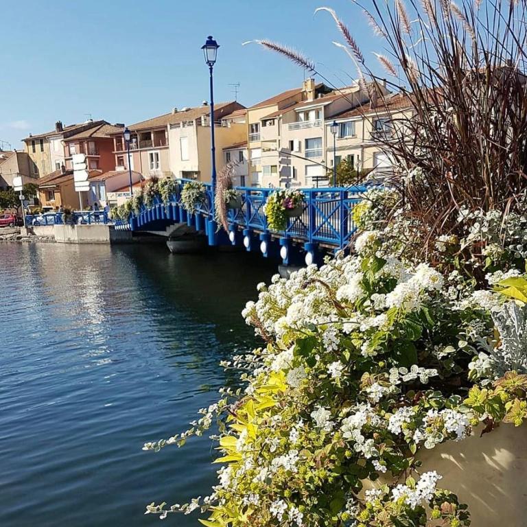 Vue canal et atmosphère unique - Centre historique - Studio - Split Level - 24