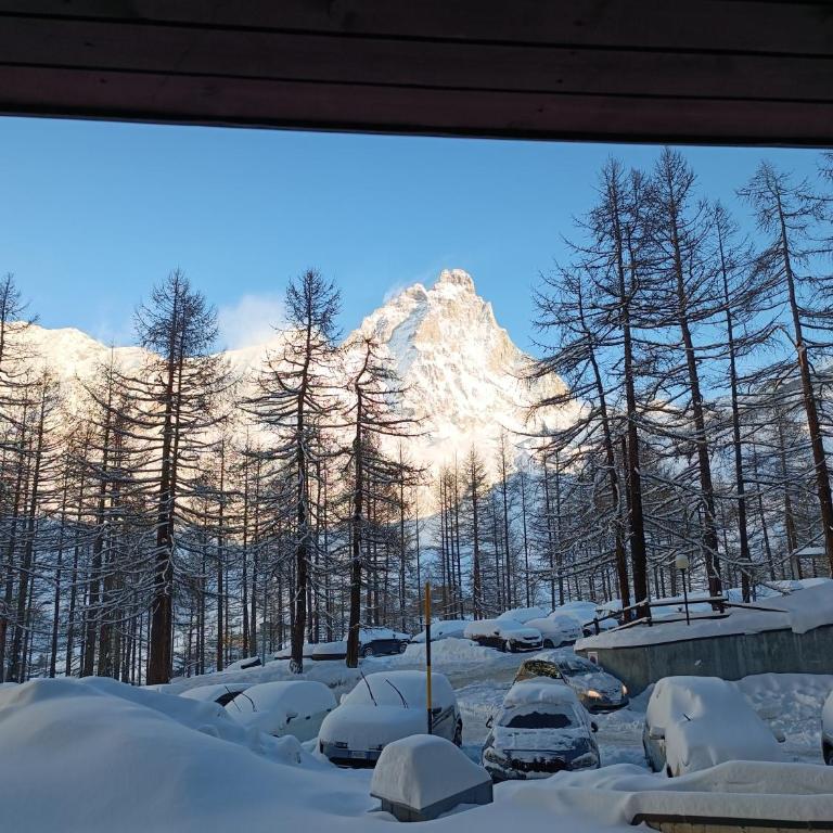 Casa Brunello - Appartamento con 1 Camera da Letto - 21