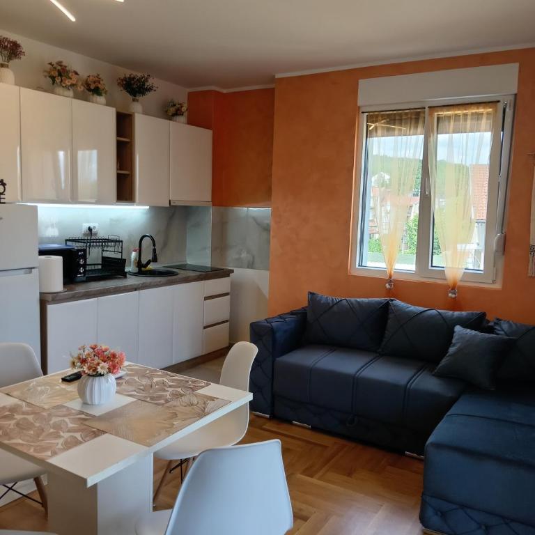 Apartmani Slatinska Oaza - Apartman sa 1 Spavaćom Sobom - 4
