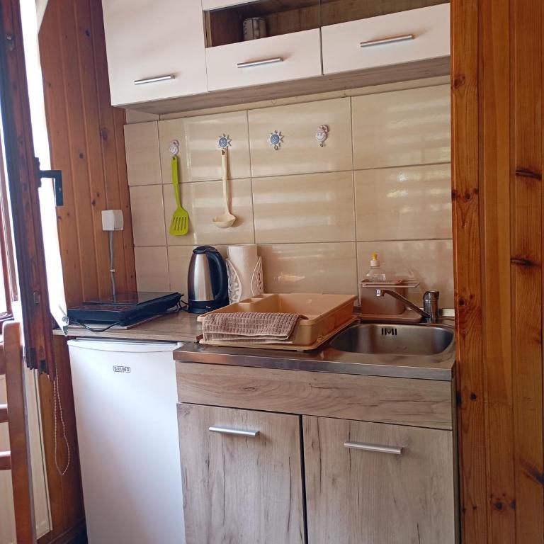 Studio apartman Dragana - One-Bedroom Apartment - 17