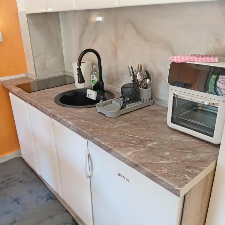 Apartmani Slatinska Oaza - Apartman sa 1 Spavaćom Sobom - 2