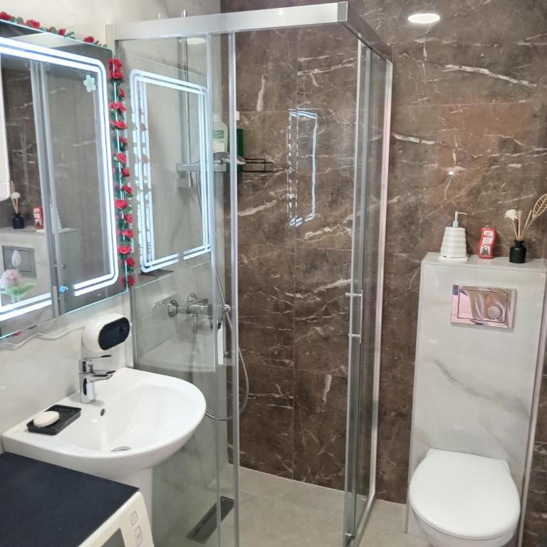 Apartmani Slatinska Oaza - Apartman sa 1 Spavaćom Sobom - 7