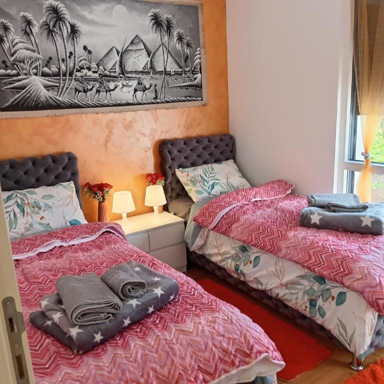 Apartmani Slatinska Oaza - Apartman sa 1 Spavaćom Sobom - 3