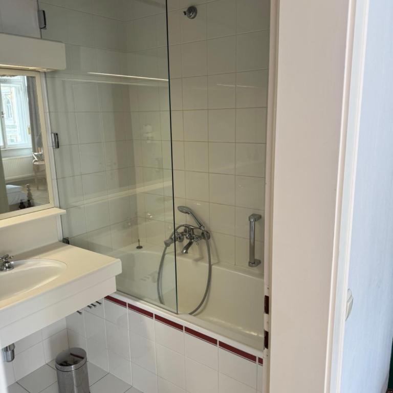 Privatzimmer im ehemaligen Grand Hotel de l Europe - Superior Apartment mit 1 Schlafzimmer - 3