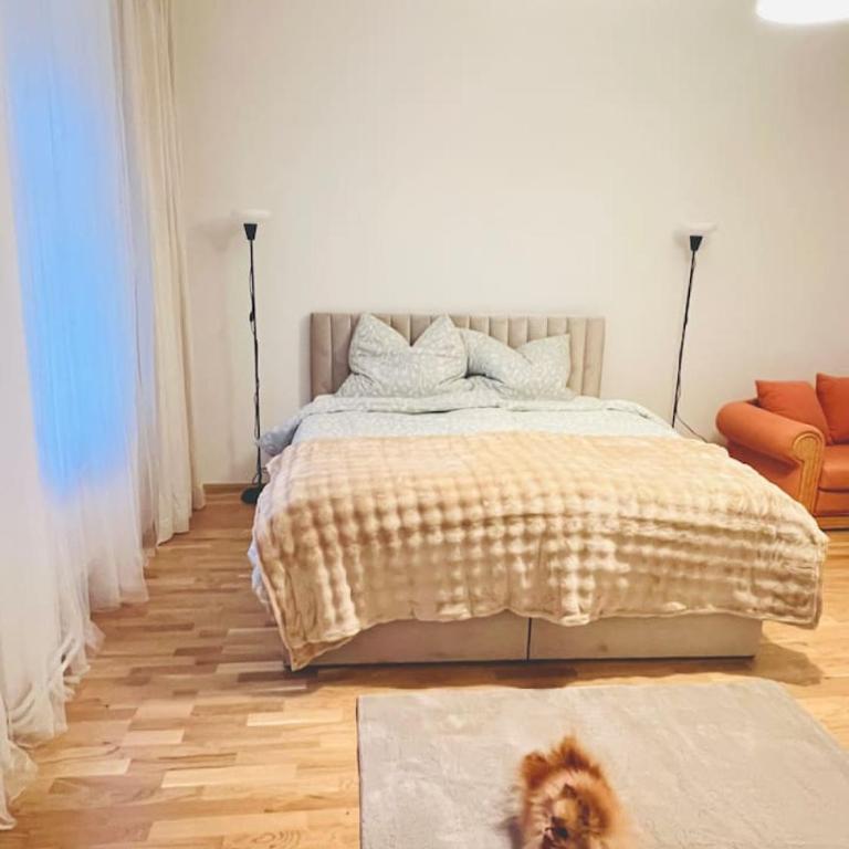 Modern New Eggenberg Top 1b - Apartment - 14