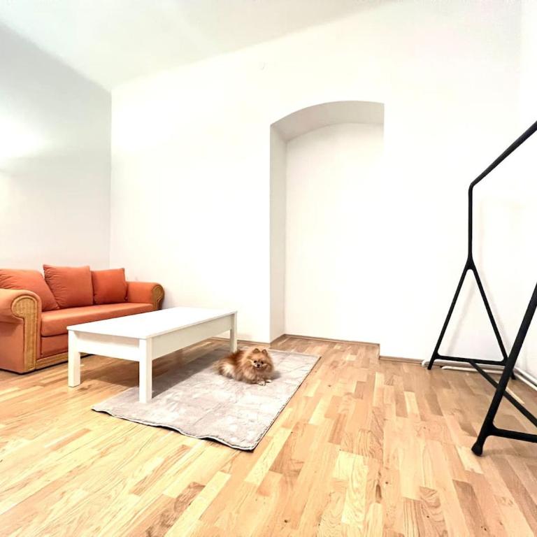 Modern New Eggenberg Top 1b - Apartment - 13