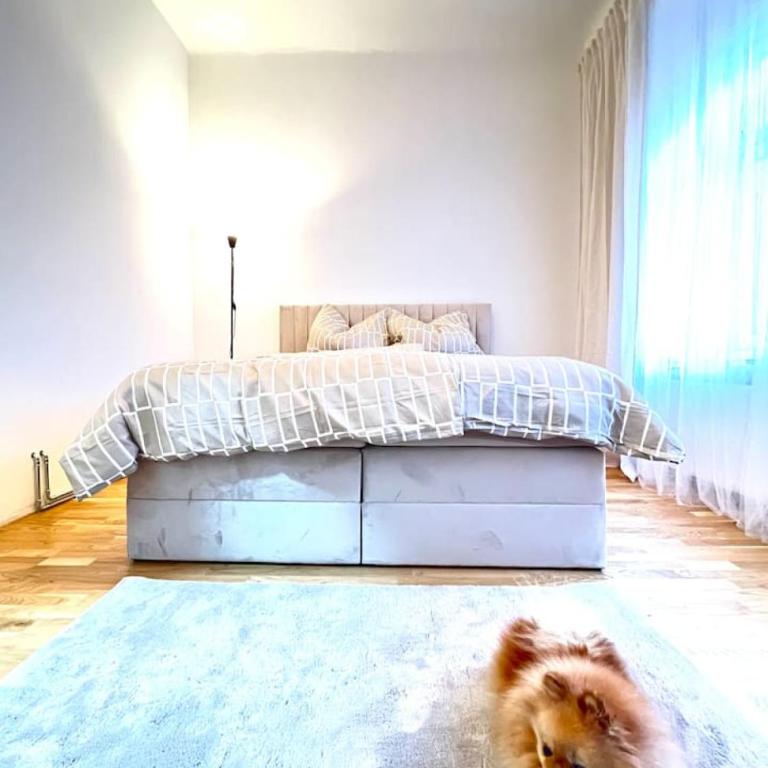 Modern New Eggenberg Top 1b - Apartment - 10