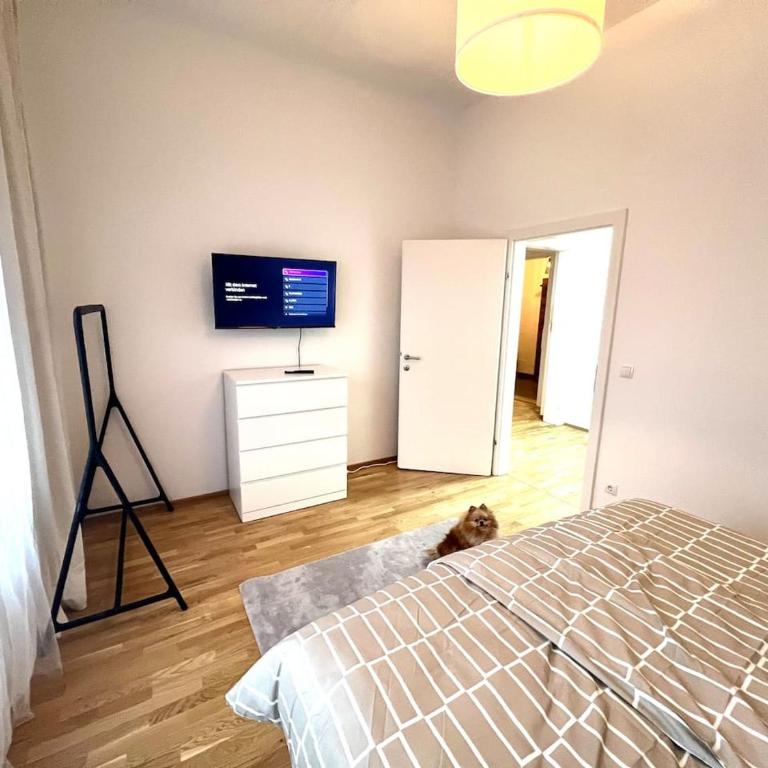 Modern New Eggenberg Top 1b - Apartment - 7