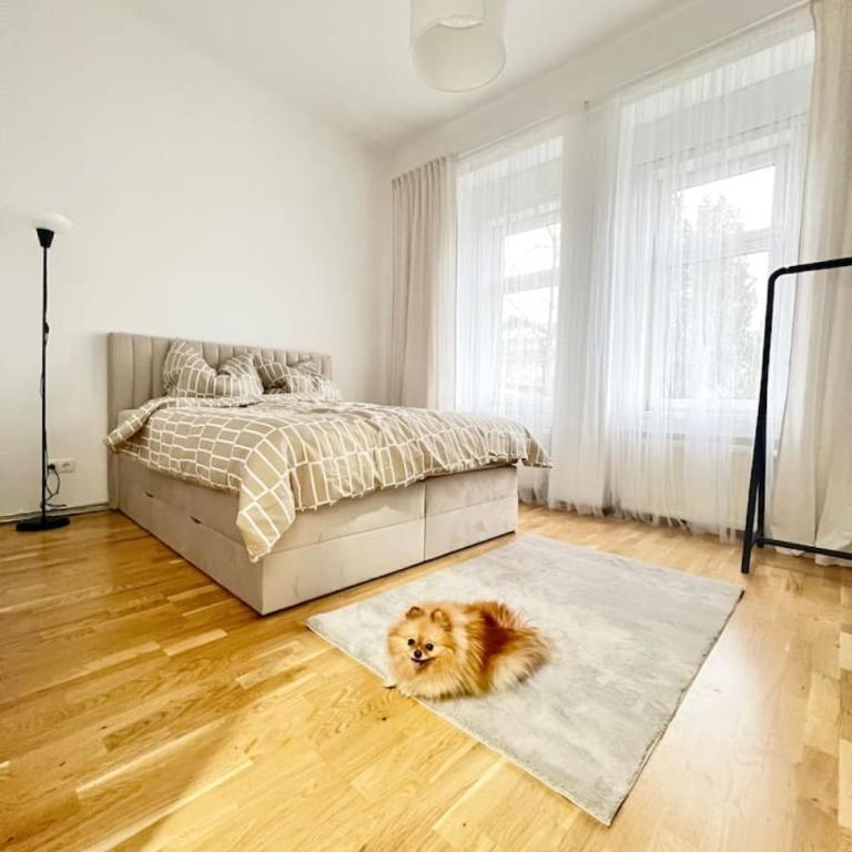 Modern New Eggenberg Top 1b - Apartment - 8