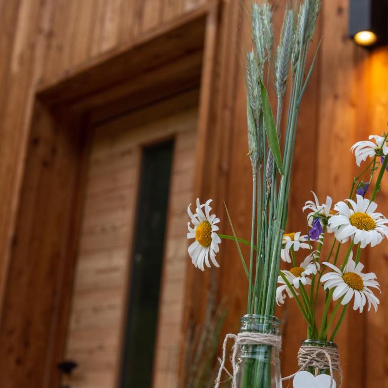 EGGA nature deluxe apartments - Panorama & Wellness, Kiens, Pustertal - Casa con 2 Camere da Letto - 2