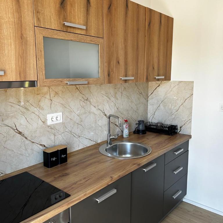 Bjelasica View - Apartman sa 2 Spavaće Sobe i Pogledom na Planinu - 3