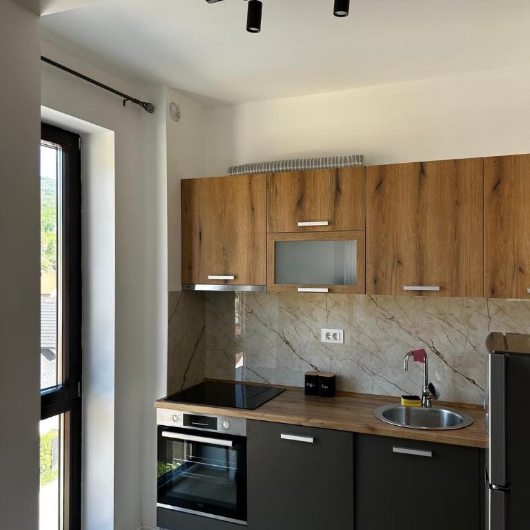 Bjelasica View - Apartman sa 2 Spavaće Sobe i Pogledom na Planinu - 5