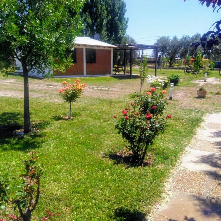 Cabañas La Lubina - Casa con 1 dormitorio - 3