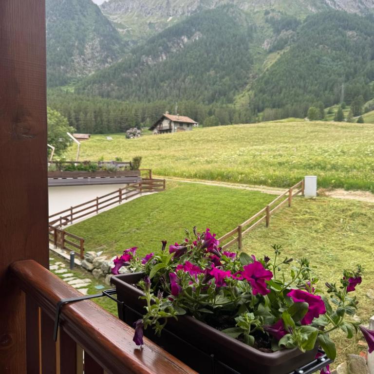 Grande Maison Du Coeur Champoluc Spa,Gym e Aree Relax - Two-Bedroom Apartment - 61