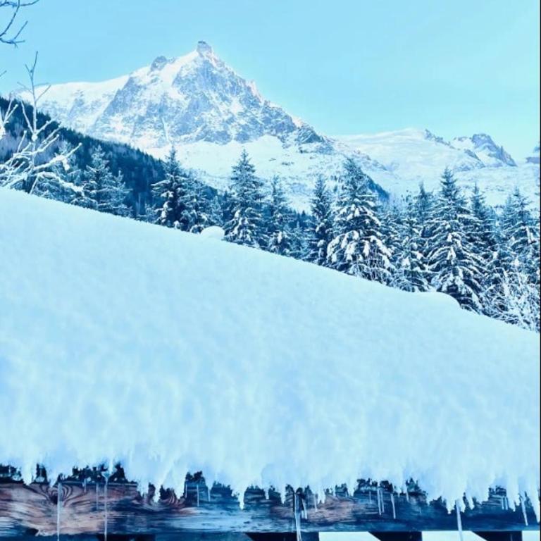 Le Chalet Georges - Chalet de 2 dormitorios - 21
