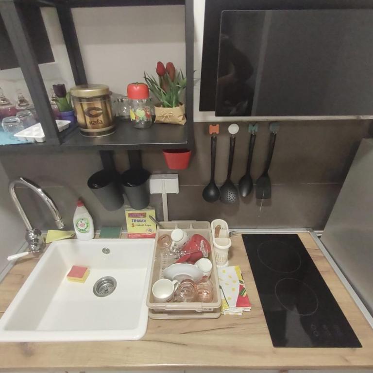 Apartman ZVONKO - One-Bedroom Apartment - 14