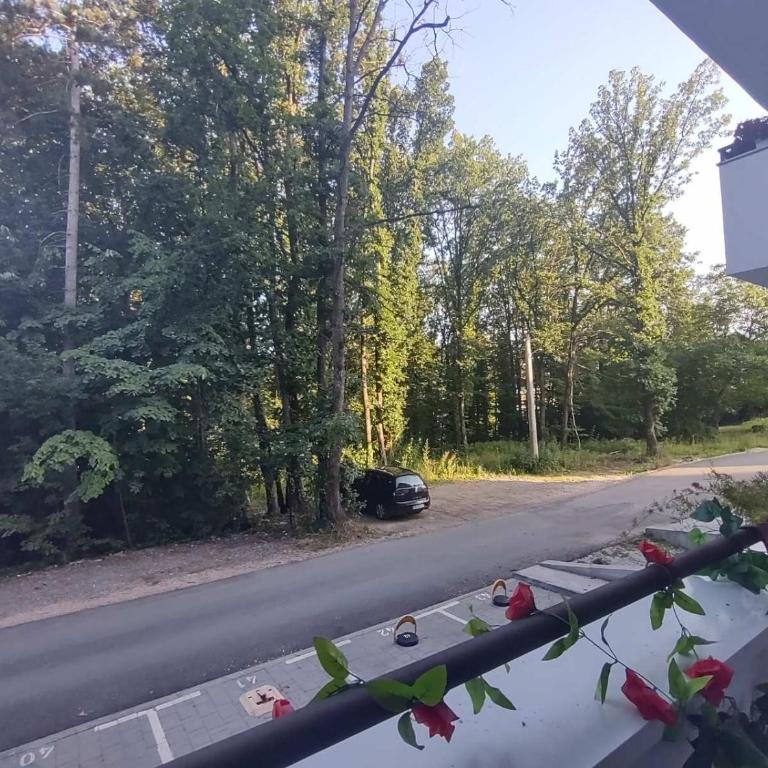Apartman ZVONKO - One-Bedroom Apartment - 27