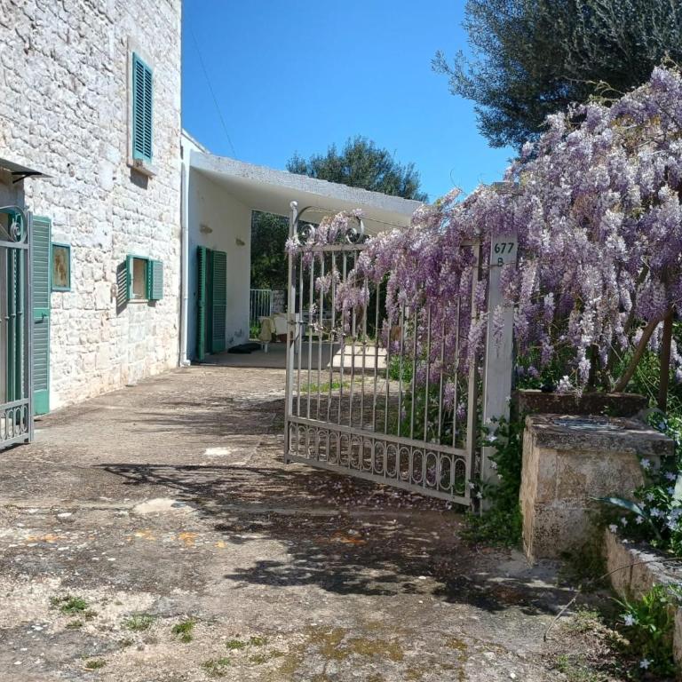 Dimora Lama Cerase - Casa con 1 Camera da Letto - 18