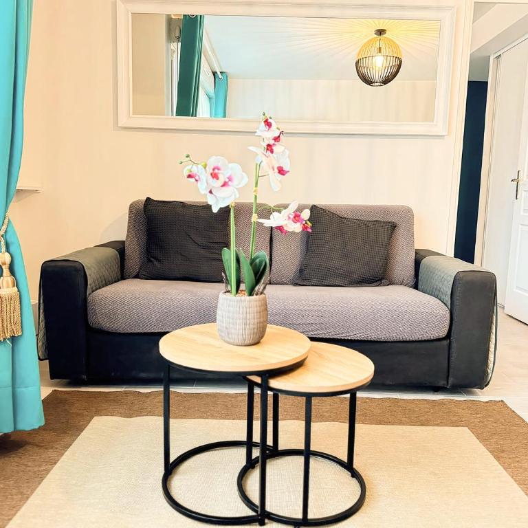 Appartement Magnolia 40m2, wifi gratuit et parking payant - Appartamento con 1 Camera da Letto - Non Fumatori - 8