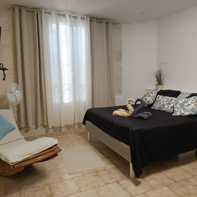 Cosy Arles - Appartement 1 Chambre - 4