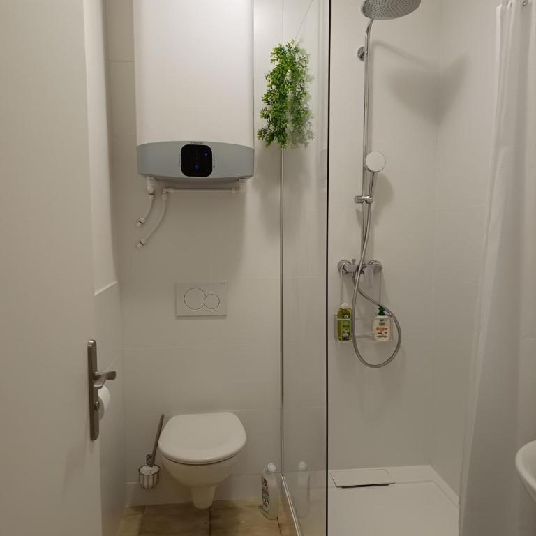 Cosy Arles - Appartement 1 Chambre - 9