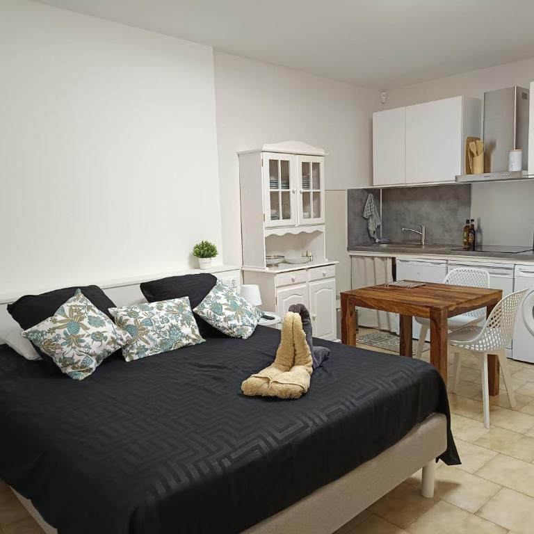 Cosy Arles - Appartement 1 Chambre - 6