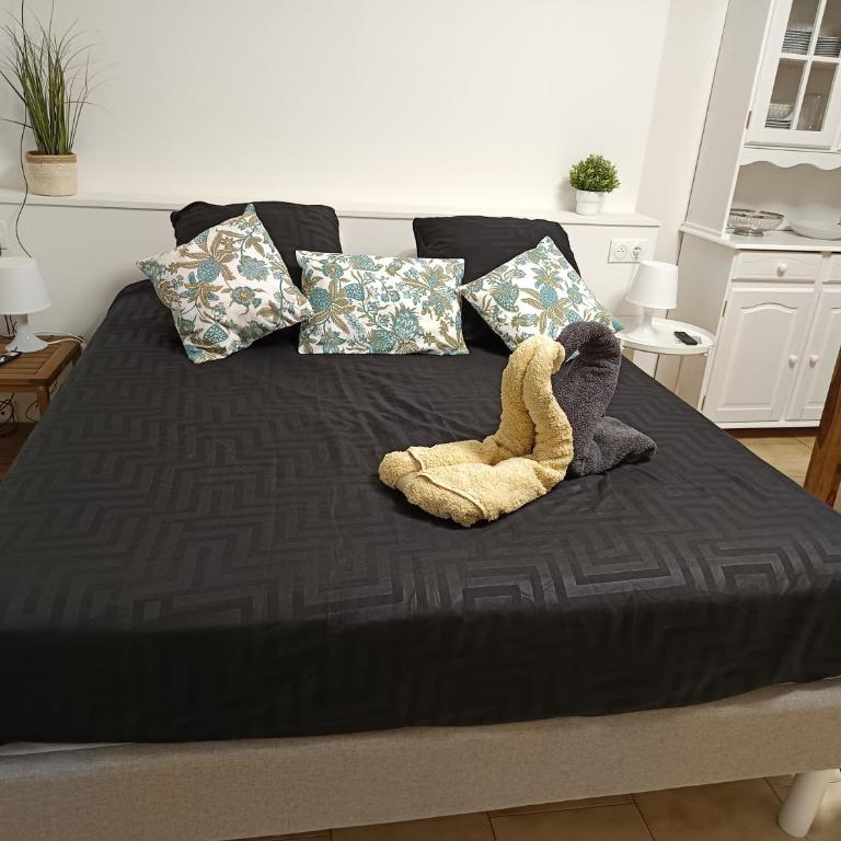 Cosy Arles - Appartement 1 Chambre - 2