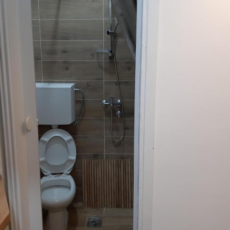 Ilić Sokobanja - One-Bedroom Apartment - 15