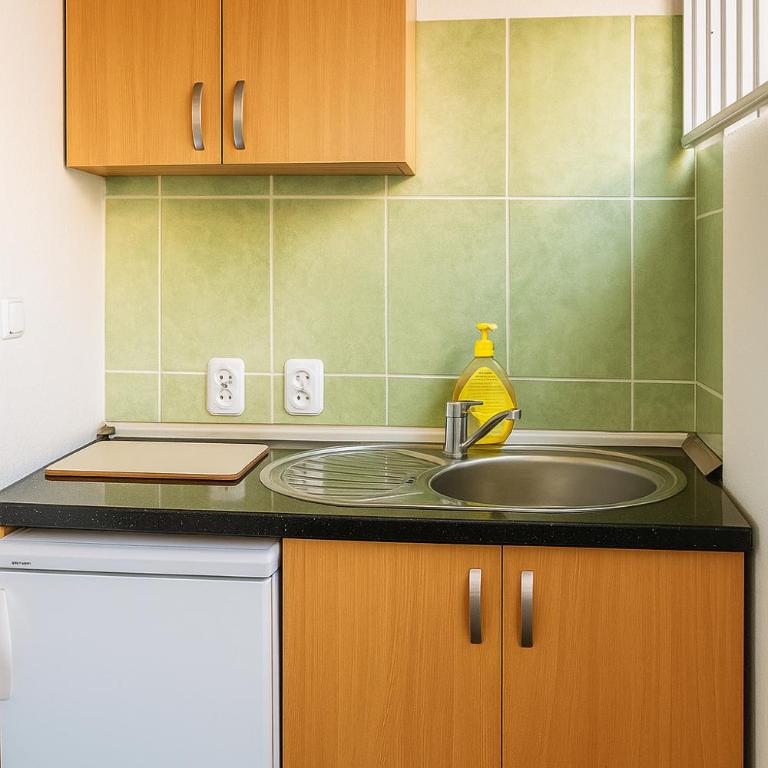 Apartmani PULIĆ - Apartman - Prizemlje - 3