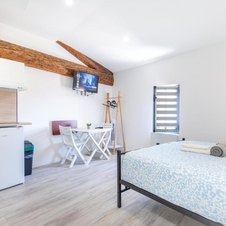 Charming Cosy Studio in Beziers town centre - Studio - 2