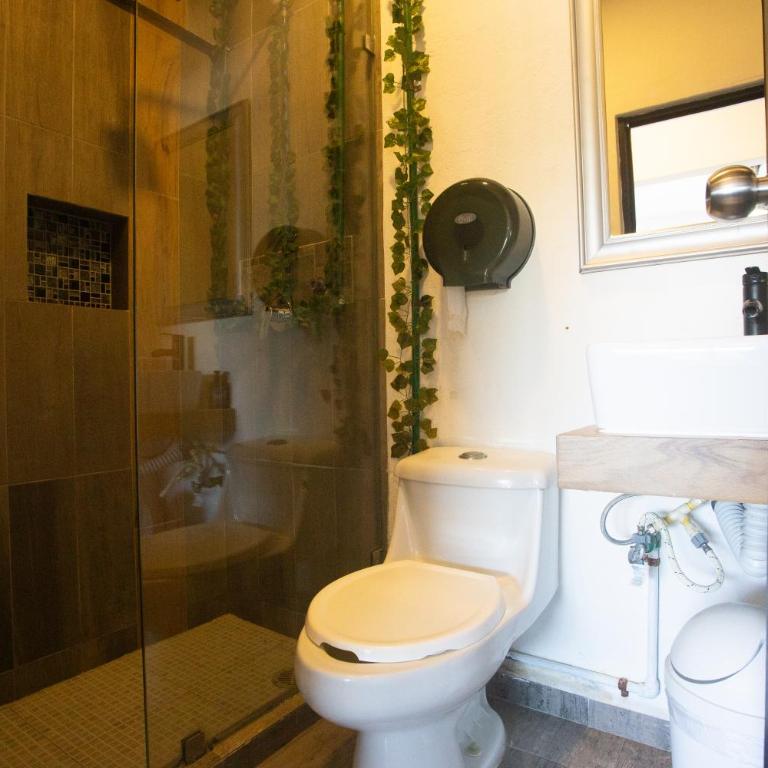 Maui Hostels Playa del Carmen - Deluxe Queen Studio - 3