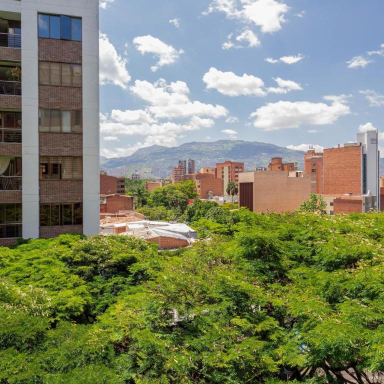 Cozy and Bright Studio Loft in Central Laureles - One-Bedroom Apartment - 6