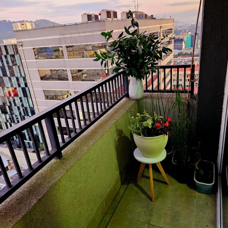 Base centro - Apartamento de 2 dormitorios - 12
