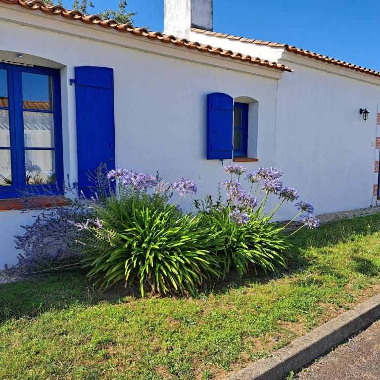 Belle villa avec piscine dans quartier calme à Saint-Jean-de-Monts - FR-1-323-542 - Vacation Home - 12