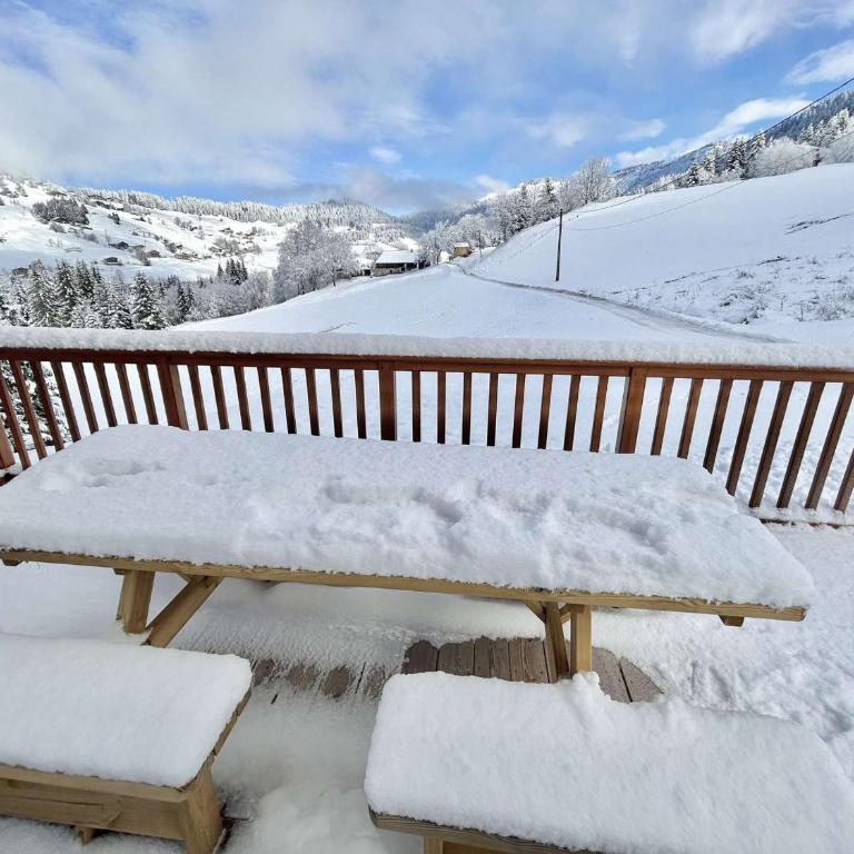 Chalet indépendant avec spa, sauna et cheminée à Notre-Dame-de-Bellecombe - 10 pers - Chalet 3 Chambres - 35