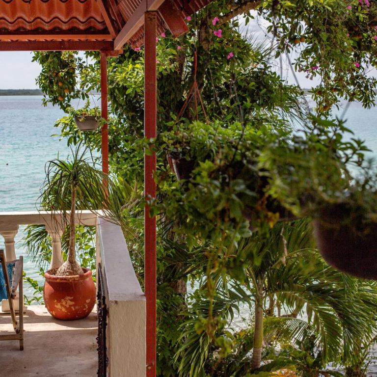 Dog Friendly Villas Pehaltun Bacalar - Standard Villa - 12