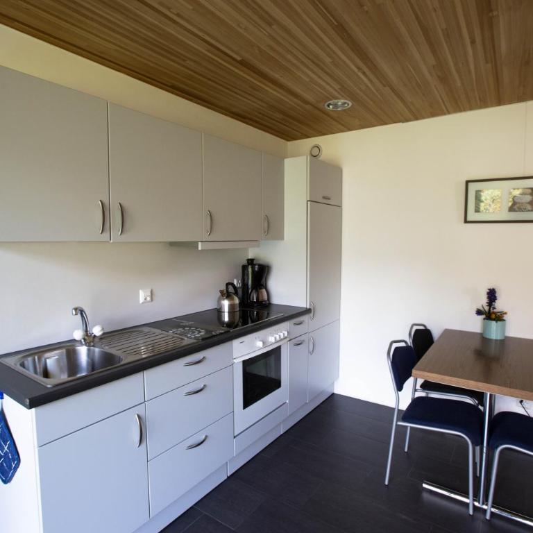 Hüsmatta (Michael Gschwendtner) - Apartment - Erdgeschoss - 12